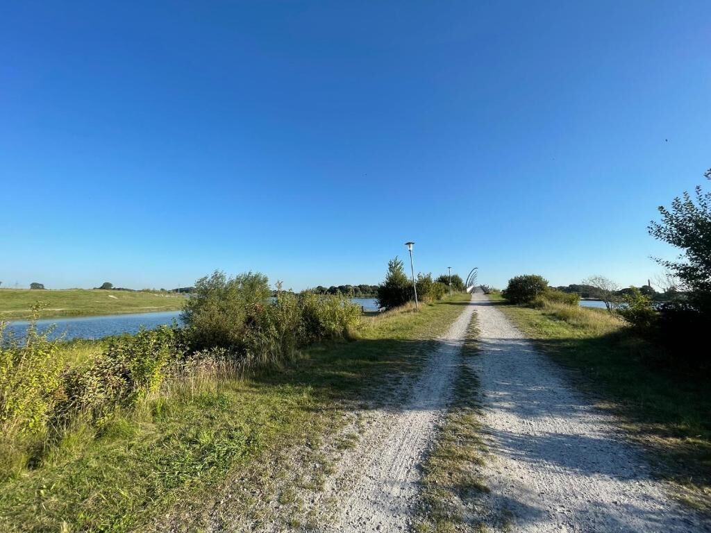 A gravel path leading to a body of water, surrounded by greenery and a clear blue sky.
