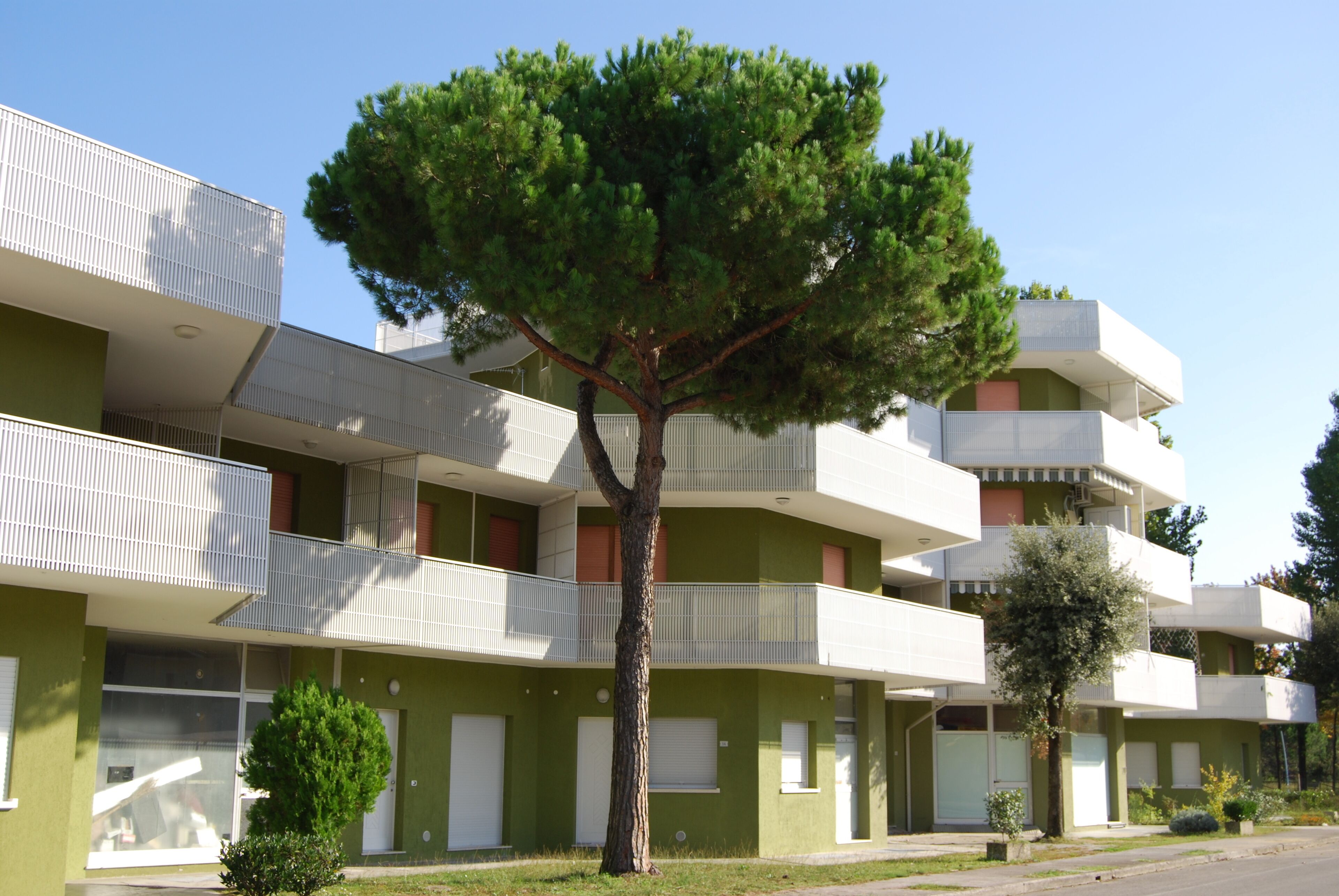 A multi-story building with balconies and a tree in front.