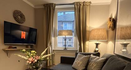 Modern 2-room flat with huge roof terrace in Heidelberg