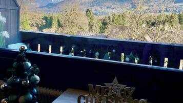 Apartment, 1 Bedroom, Smoking, Mountain View | Bahagian dalam