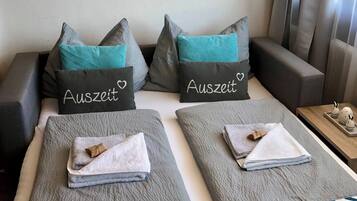 Apartment, 1 Bedroom, Smoking, Mountain View | 1 bedroom