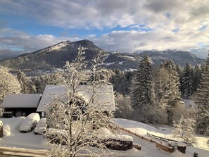 Apartment, 1 Bedroom, Smoking, Mountain View | Exterior