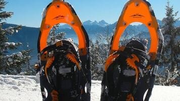 Two snowshoes with 'MOUNTAIN' branding, set against a snowy landscape with mountains in the background.