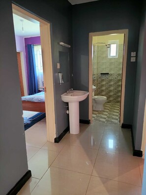 Secador de cabelo, toalhas de banho, sabonete, papel higiênico