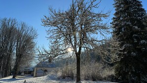 Paisaje nevado con cielo despejado, un árbol grande en primer plano y un edificio con techo inclinado al fondo.