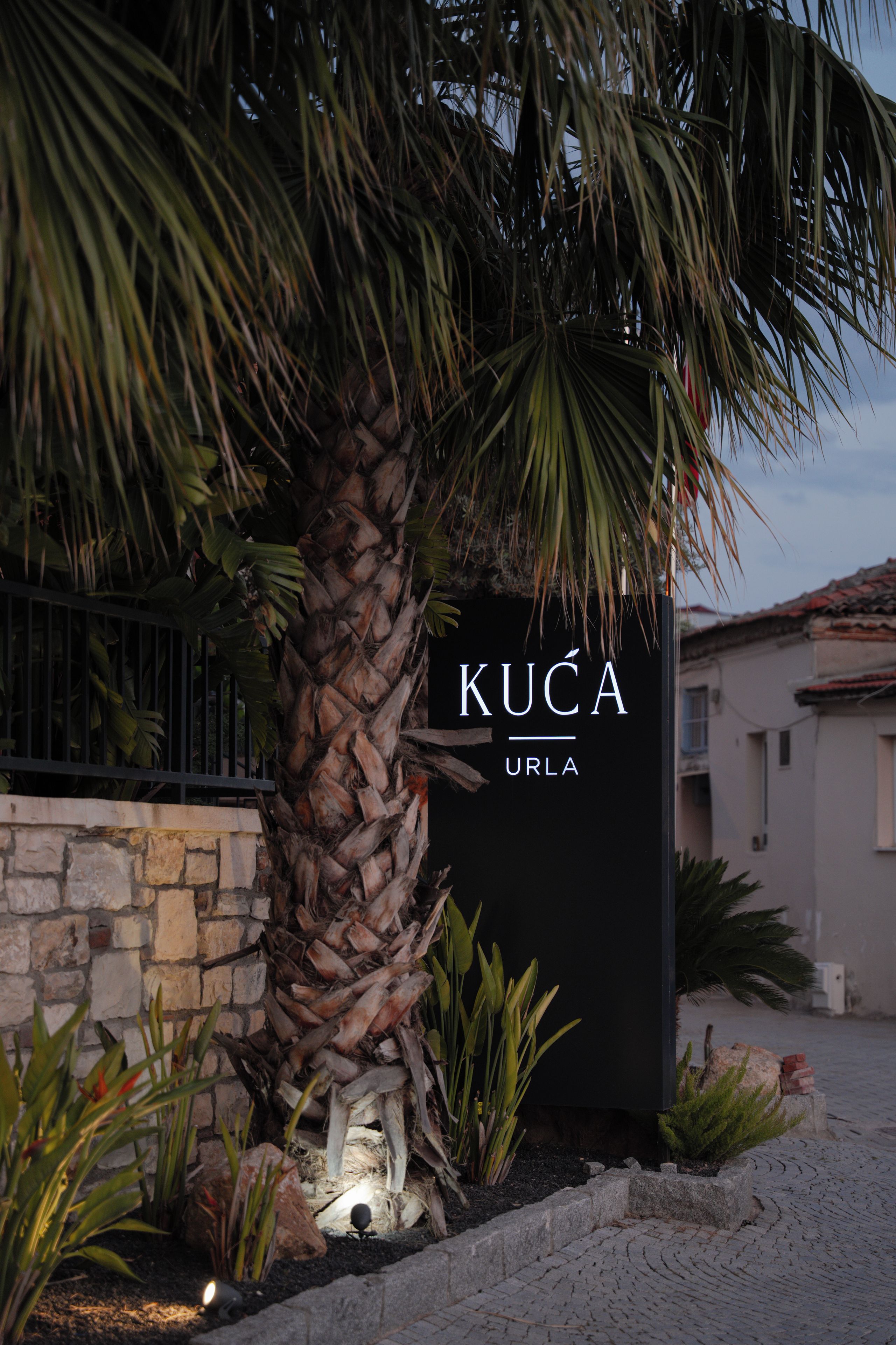 Una palmera con un cartel que dice 'KUCA URLA'.