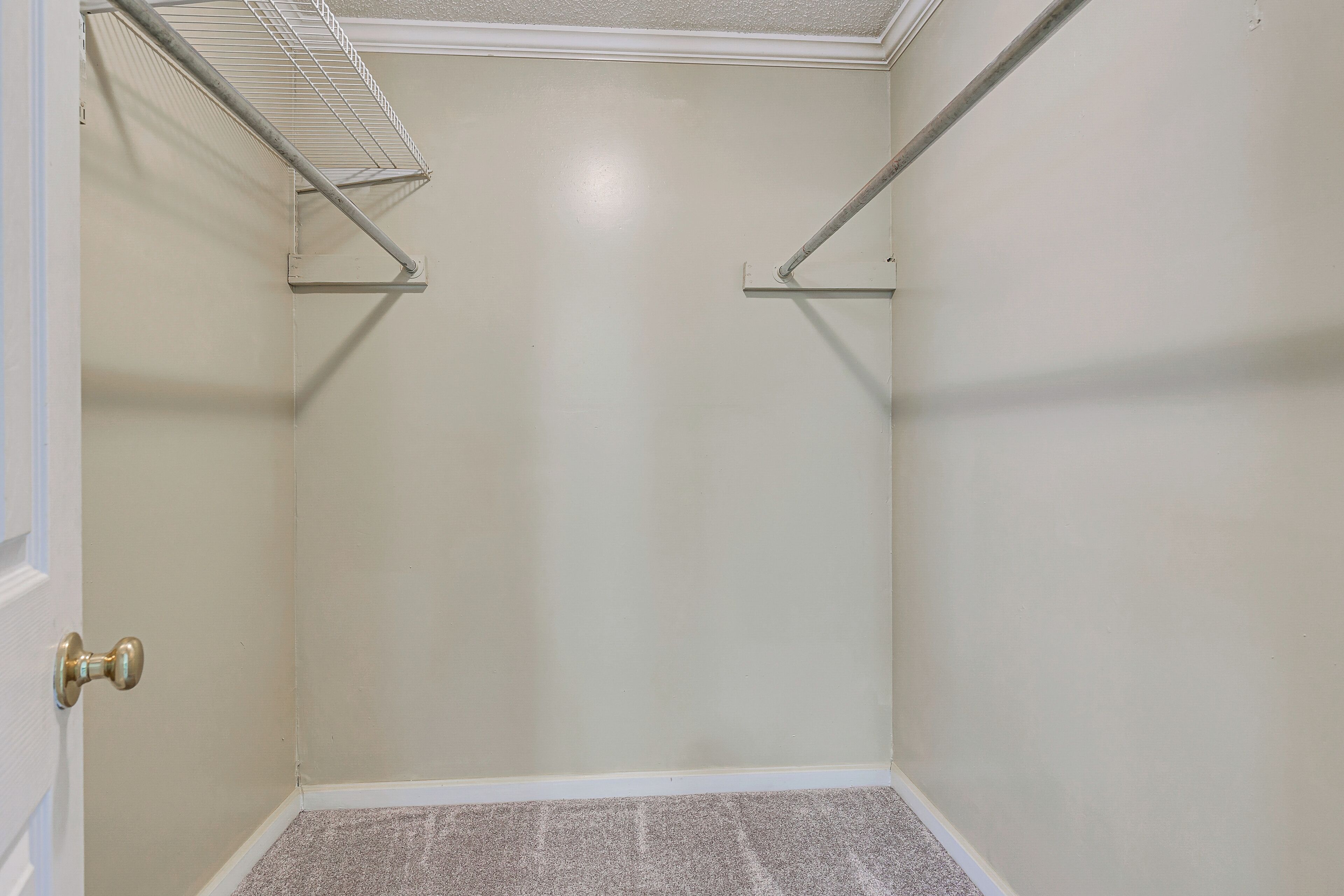 A corner room with a door, a metal shelf, and a carpeted floor.