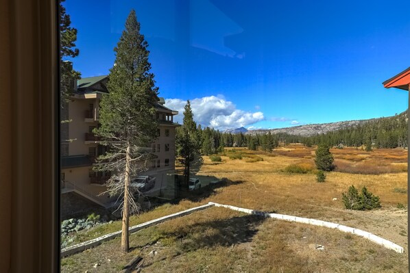 Vista de un edificio con varios pisos y balcones, rodeado de árboles y un paisaje cubierto de césped con montañas al fondo.