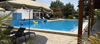 Ica adventures out of the woods 