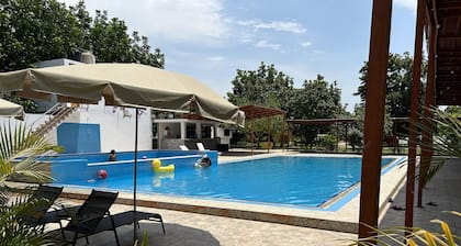 Ica adventures out of the woods