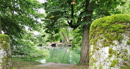 Maison 18e Siècle Avec son Parc au Bord de la Rivière à 5 Minutes du Futuroscope