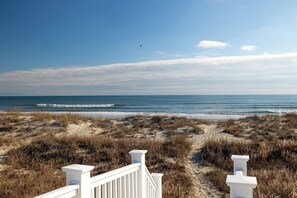 ビーチ