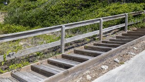 Eine hölzerne Treppe mit Metallgeländer, die einen grasbewachsenen Hang mit dichtem Strauchwerk und einem Gebäude im Hintergrund hinaufführt.