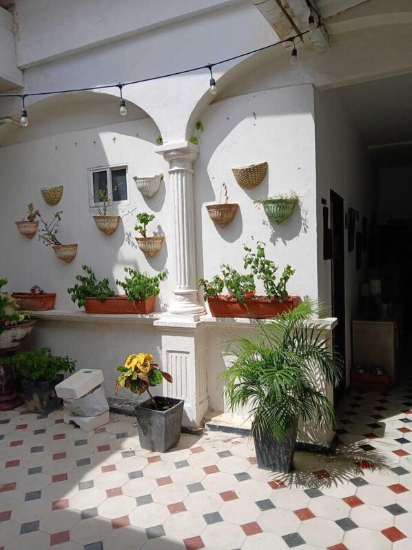 Terraza o patio