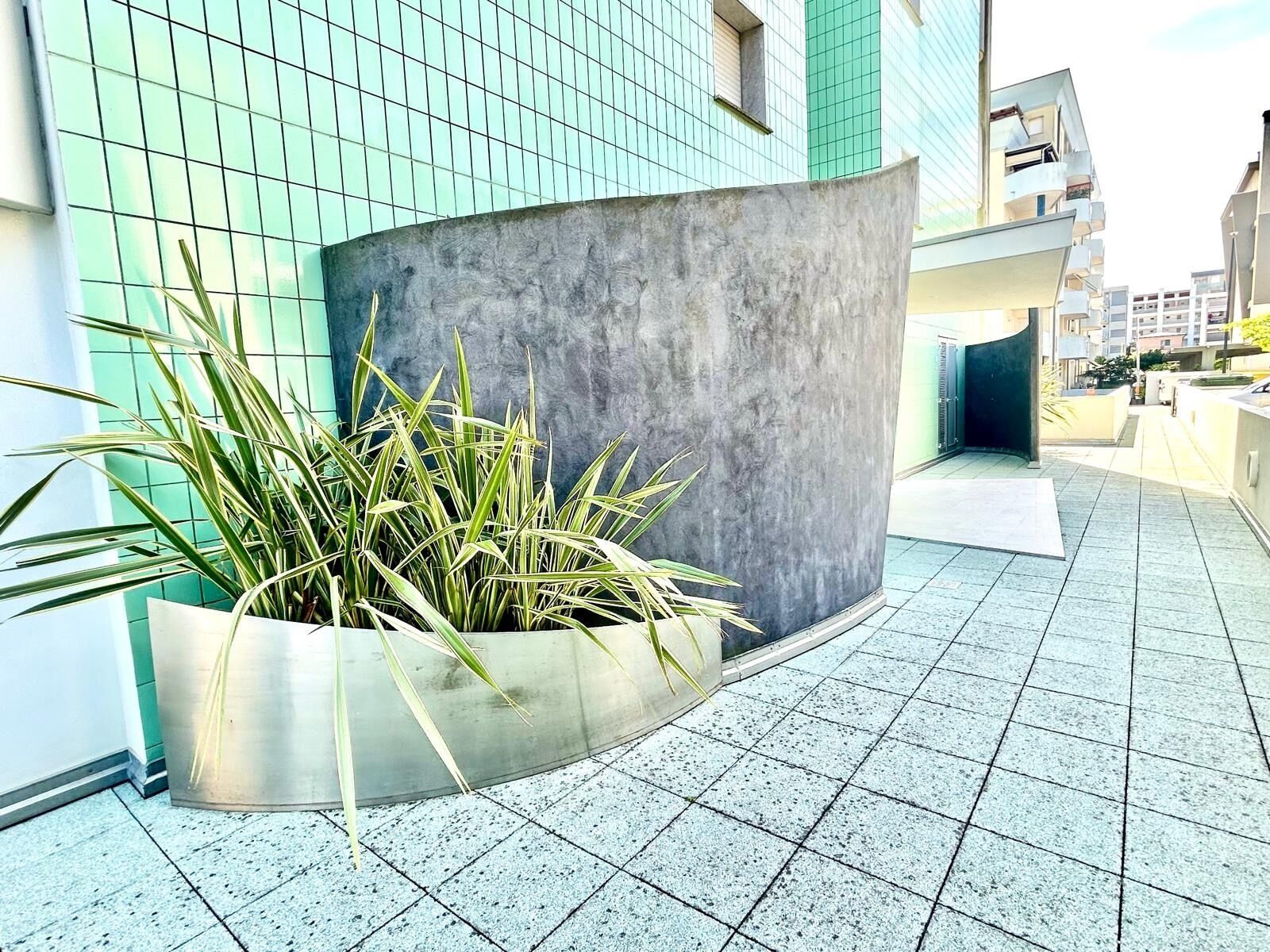 Een modern gebouw met een gebogen betonnen structuur, een betegelde vloer en een potplant met lange bladeren.