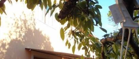 Un patio al aire libre con mesa y sillas, un edificio con ventanas y un árbol que da sombra.