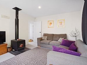 TV, DVD player, books