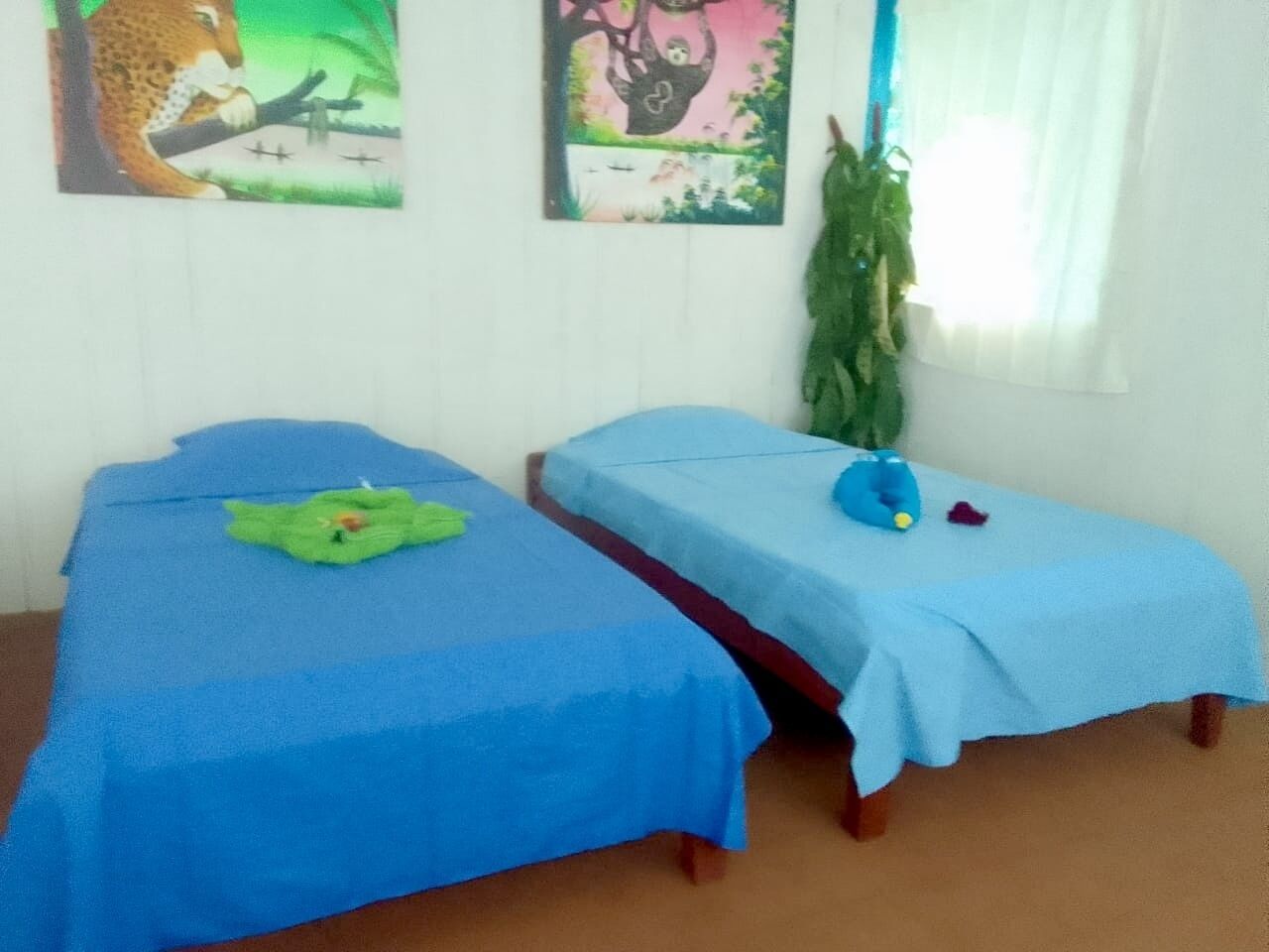 Truy cập Internet không dây miễn phí, bộ trải giường 