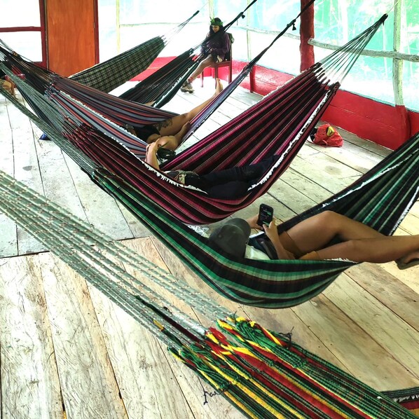 A room with multiple hammocks, wooden flooring, and a red wall.