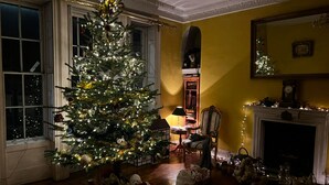 A cozy living room with a large Christmas tree, a fireplace, and a bookshelf. - Central Bath Georgian Rooms (Bath)