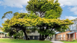 Zona residencial amb un arbre gran al primer pla, cases al fons i un cel serè.