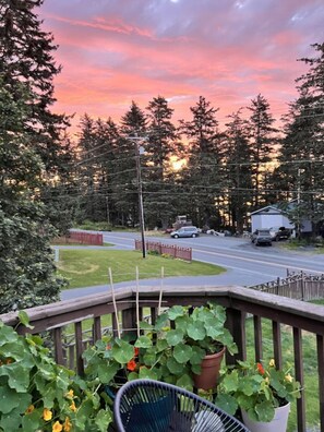 A residential area with a wooden deck, potted plants, and a view of a road with vehicles.