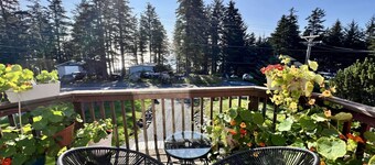 The Spruce Cape Collective - House w/Fireplace