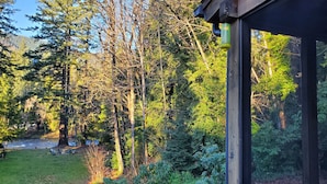 Une vue depuis une fenêtre donnant sur une zone boisée, avec un champ herbeux et une structure en bois.