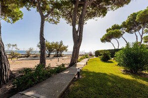 A pathway leading to a beach with trees and a clear sky.