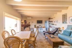 TV, fireplace - Villa "Mon Nid d'Aigle" with Private Terrace & Wi-Fi (Olmeto)