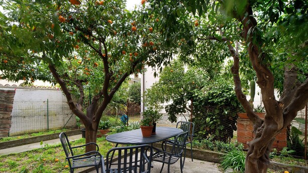 Une terrasse avec une table ronde et quatre chaises, entourée d’arbres chargés de fruits.