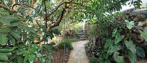 Jardines del alojamiento