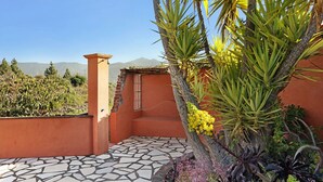 Eine Terrasse mit Mosaikfliesen, einer Palme und Blick auf Berge.
