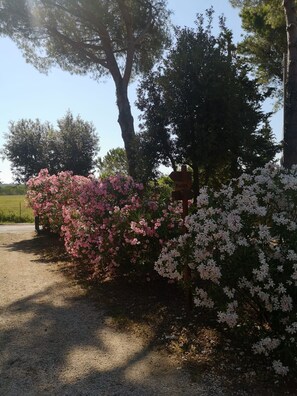 Property grounds - Holiday Home 'Podere Simonetta - A6' with Shared Pool, Private Terrace and Wi-Fi (Cecina)