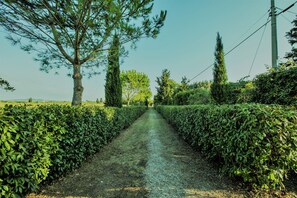 Property grounds - Holiday Home 'Podere Simonetta - A8' with Shared Pool, Private Terrace and Wi-Fi (Cecina)