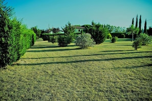 A grassy area with a building, trees, and a clear sky. - Holiday Home 'Podere Simonetta - A9' with Shared Pool, Private Terrace and Wi-Fi (Cecina)