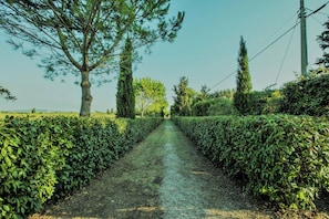 Parco della struttura