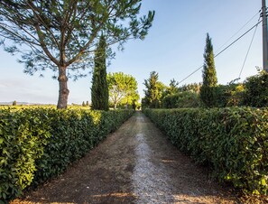 Terrein van de accommodatie