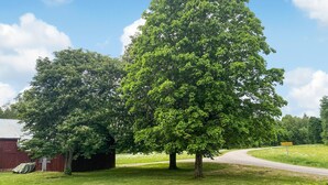 A large tree in front of a red barn with a road curving to the right. - Awesome home in Hyltebruk with WiFi (Hyltebruk)