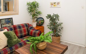 Televisor 