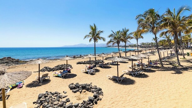 Une plage avec des transats, des palmiers et un ciel bleu azur.