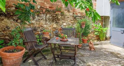 Pet friendly apartment in Rosia with kitchen