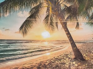 Een strandscène met een palmboom, golven en een ondergaande zon.