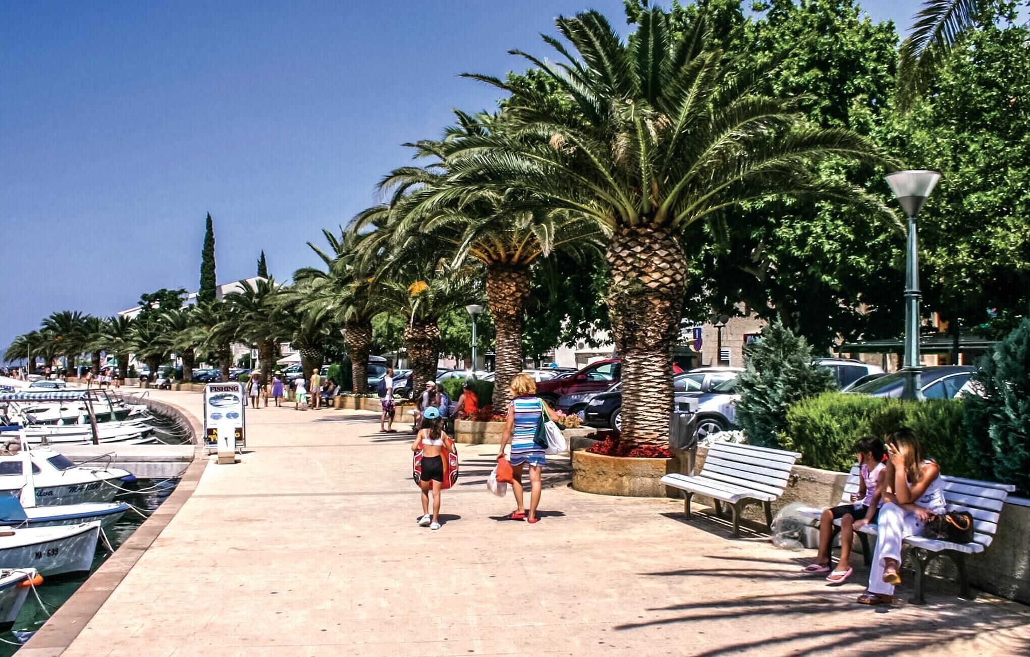 Un paseo marítimo con palmeras, bancos y un puerto deportivo con barcos.