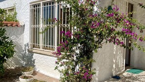 Un bâtiment blanc avec une fenêtre, un pot de fleurs et une porte.