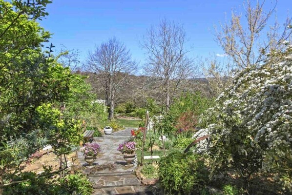 A garden pathway with stone steps, surrounded by various plants and trees. - Beautiful Architecturally Designed Cottage in Blue Mountains w/ Valley Views (Hazelbrook)