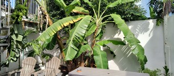 Isla Verde Walk To Beach -Bars-Restaurants  Near Airport Good for a Stop-N-Go