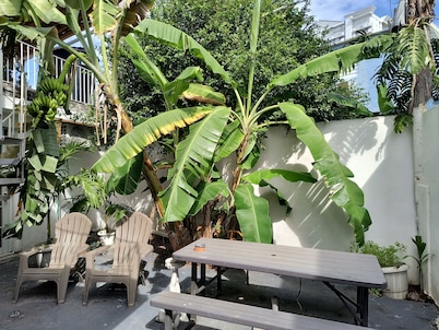 Isla Verde Walk To Beach -Bars-Restaurants  Near Airport Good for a Stop-N-Go