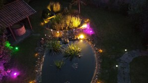 Un étang entouré de plantes et illuminé, une structure en bois et un chemin de pierres.