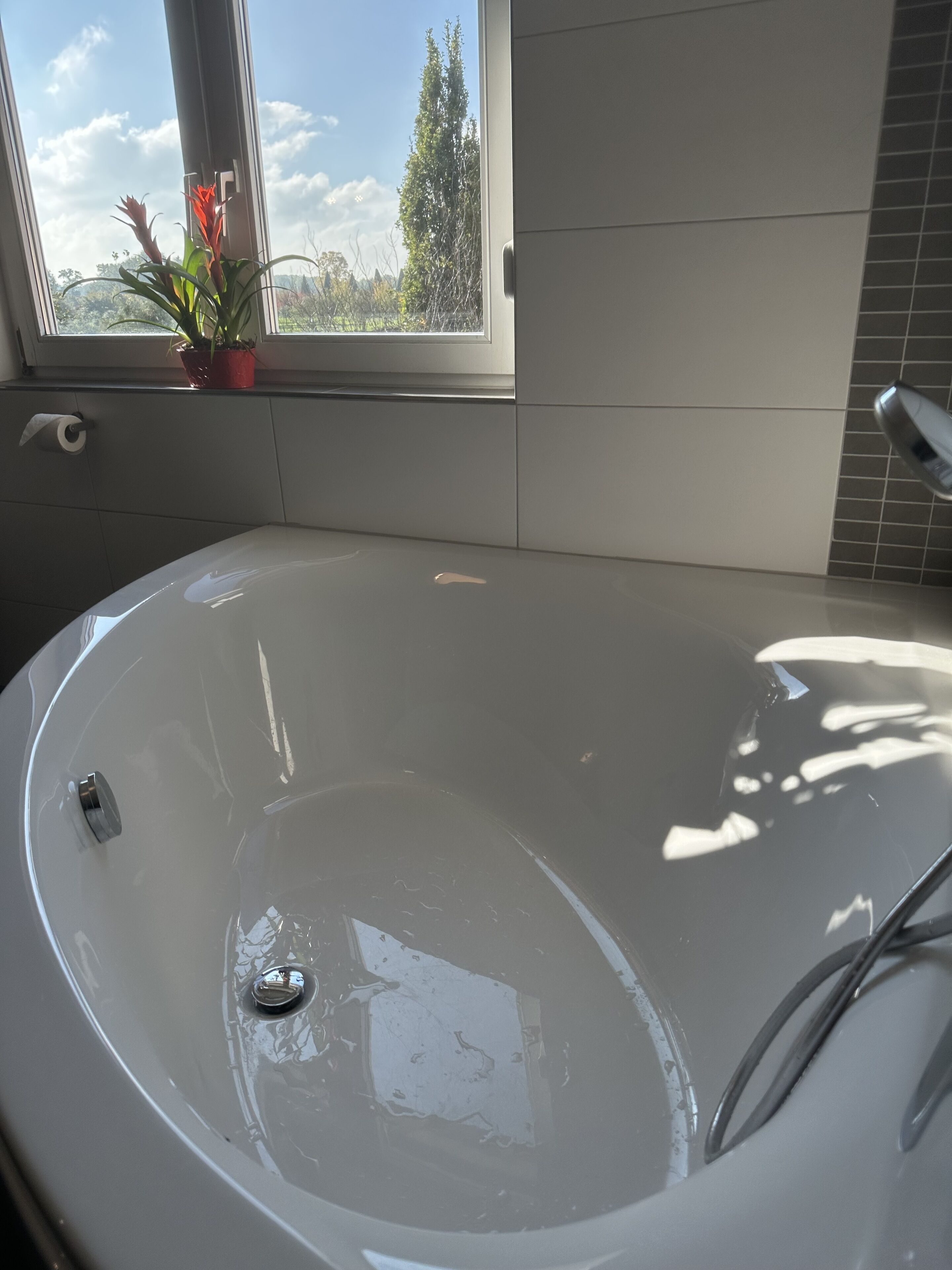 A modern bathroom with a large bathtub, a window with a view of trees, and a potted plant on the windowsill.